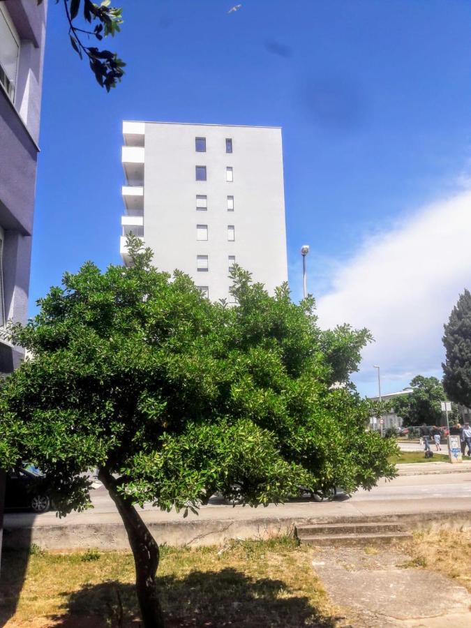 Studio Apartman Moonlight Zadar Exterior photo